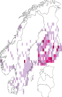 Fyndkarta för rödhuvat skogsfly. Datakälla: GBIF