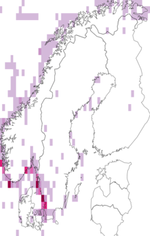 Levikukaart: jää-tormilind. Andmete allikas: GBIF