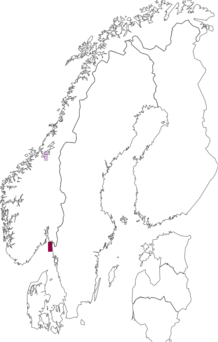 Fyndkarta för Paranais litoralis. Datakälla: GBIF