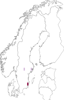 Fyndkarta för rosengeranium. Datakälla: GBIF