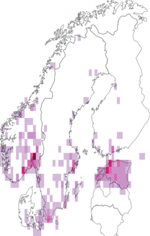 Fyndkarta för Murinae. Datakälla: GBIF