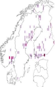 Fyndkarta för Euthyneura myrtilli. Datakälla: GBIF