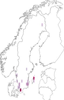 Fyndkarta för svart tallgrenborre. Datakälla: GBIF