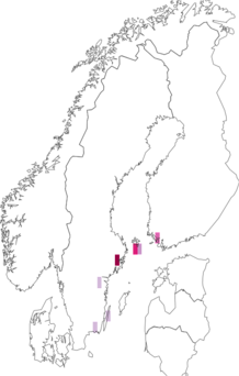Fyndkarta för rotfläcksdvärgmal. Datakälla: GBIF