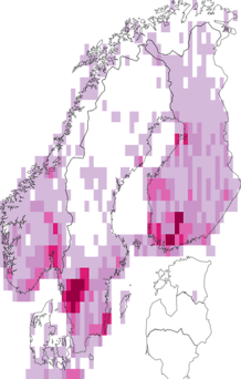 Fyndkarta för svinmålla/svenskmålla. Datakälla: GBIF