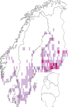 Fyndkarta för svartaktigt jordfly. Datakälla: GBIF