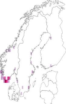 Fyndkarta för kustjordrök. Datakälla: GBIF