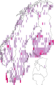 Fyndkarta för Udea. Datakälla: GBIF
