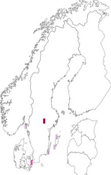 Fyndkarta för svarthuvad trut. Datakälla: GBIF