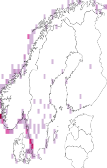 Fyndkarta för stormsvalor. Datakälla: GBIF