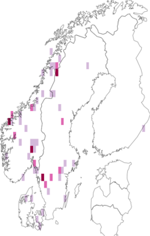 Fyndkarta för vitskivig strimnavling. Datakälla: GBIF