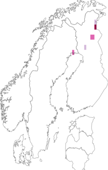 Fyndkarta för lappvidedvärgmal. Datakälla: GBIF