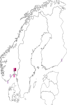 Fyndkarta för Microsphaera hypophylla. Datakälla: GBIF