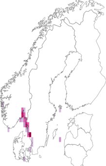 Fyndkarta för paddtorsk. Datakälla: GBIF