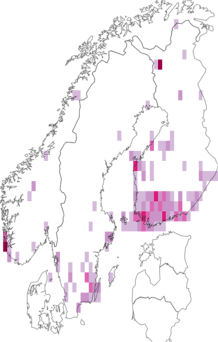Fyndkarta för dvärgbarrvecklare. Datakälla: GBIF