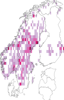 Kaarta Phellinus lundellii. Data source: GBIF