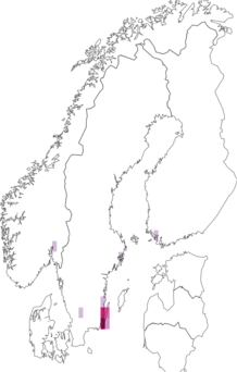 Kaarta Ranunculus illyricus. Data source: GBIF