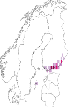 Fyndkarta för kortsvansad blåvinge. Datakälla: GBIF
