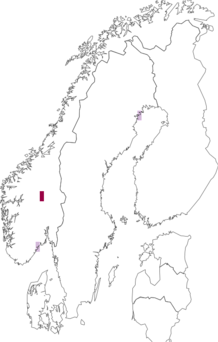 Fyndkarta för Chrysopa dorsalis. Datakälla: GBIF