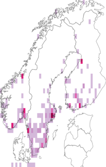 Fyndkarta för kanariegräs. Datakälla: GBIF