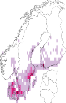 Fyndkarta för storfläckig pärlemorfjäril. Datakälla: GBIF