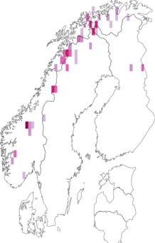 Fyndkarta för Cleveaceae. Datakälla: GBIF