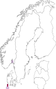 Fyndkarta för Oenothera oakesiana. Datakälla: GBIF