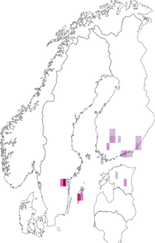 Fyndkarta för Lopinga. Datakälla: GBIF