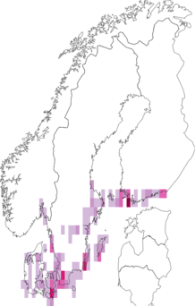 Fyndkarta för träfärgat ängsfly. Datakälla: GBIF
