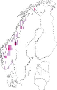 Fyndkarta för nordlig lilariska. Datakälla: GBIF