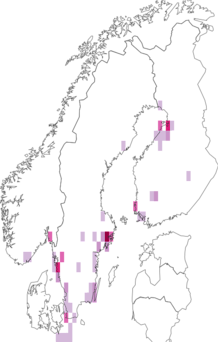 Fyndkarta för fikonmålla. Datakälla: GBIF