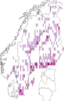 Fyndkarta för kärrflugor. Datakälla: GBIF