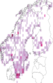 Fyndkarta för Sphodrini. Datakälla: GBIF