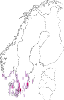 Fyndkarta för svartbandad frostmätare. Datakälla: GBIF