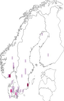 Kaarta Hypomyces rosellus. Data source: GBIF