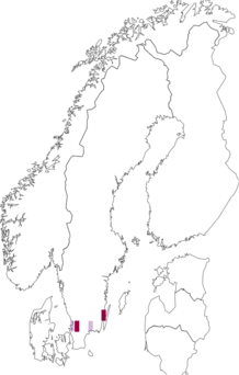 Fyndkarta för mörk avenboksguldmal. Datakälla: GBIF
