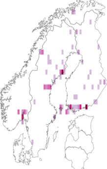 Fyndkarta för Platypalpus cursitans. Datakälla: GBIF