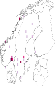 Fyndkarta för snösländor. Datakälla: GBIF