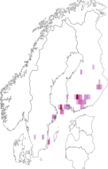 Fyndkarta för humleblomsterdvärgmal. Datakälla: GBIF