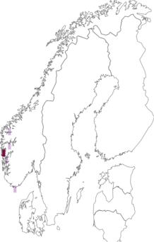 Fyndkarta för almhättemossa. Datakälla: GBIF