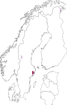 Fyndkarta för nordlyckospindel. Datakälla: GBIF