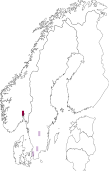 Fyndkarta för stor rosenkvitten. Datakälla: GBIF