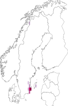 Fyndkarta för brämluggmal. Datakälla: GBIF