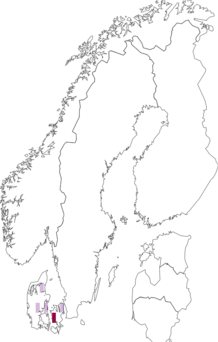 Fyndkarta för Pluteus inquilinus. Datakälla: GBIF