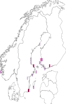 Fyndkarta för sibirisk järnsparv. Datakälla: GBIF