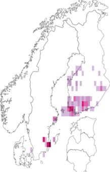 Fyndkarta för mörk rönndvärgmal. Datakälla: GBIF