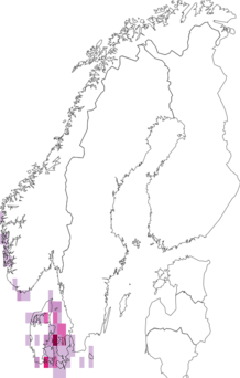 Fyndkarta för grov borsttråd. Datakälla: GBIF