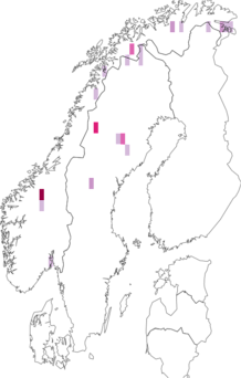 Fyndkarta för Eusphalerum sorbicola. Datakälla: GBIF