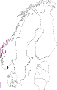 Fyndkarta för Melanella alba. Datakälla: GBIF