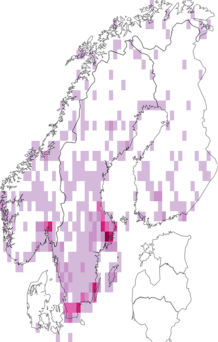 Kaarta Paederinae. Data source: GBIF